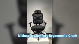 Confort et soutien ultimes d'une chaise de bureau