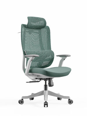 Bon prix 150kg Max Poids Capacité de bureau Chaise pivotante Couleurs vert menthe peuvent être personnalisées Confortable Design ergonomique Convient pour les espaces de travail en ligne
